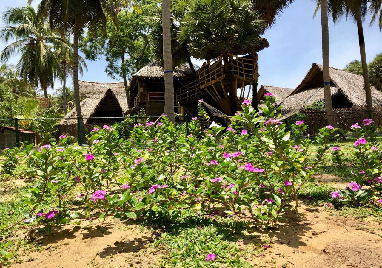 Wind Blend Kite Resort Kalpitiya Kültér fotó